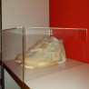 Teca in plexiglass per scarpe personalizzabile
