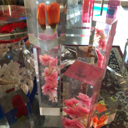 Parallelepipedi plexiglass con materiale inglobato