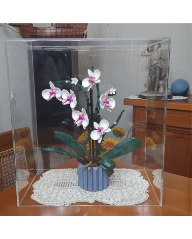 Teca in plexiglass di primissima qualità su misura
