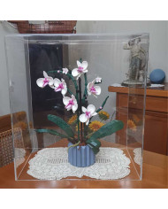 Teca in plexiglass di primissima qualità su misura