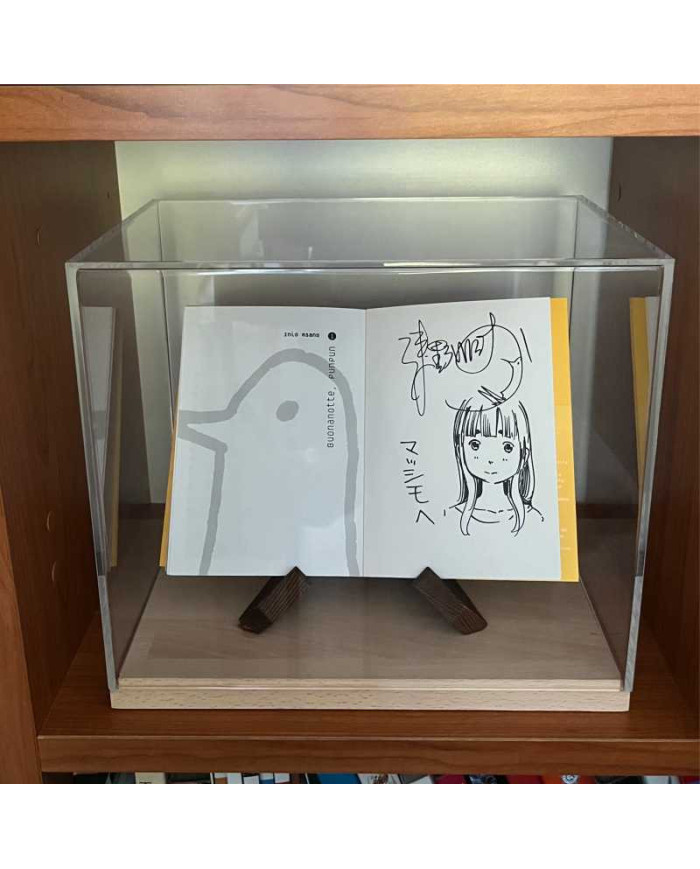 Teca in plexiglass di primissima qualità su misura