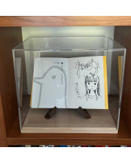 Teca in plexiglass di primissima qualità su misura
