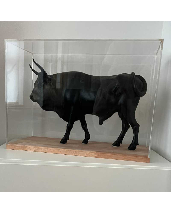 Teca in plexiglass di primissima qualità su misura