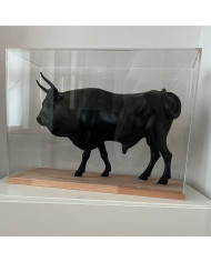 Teca in plexiglass di primissima qualità su misura