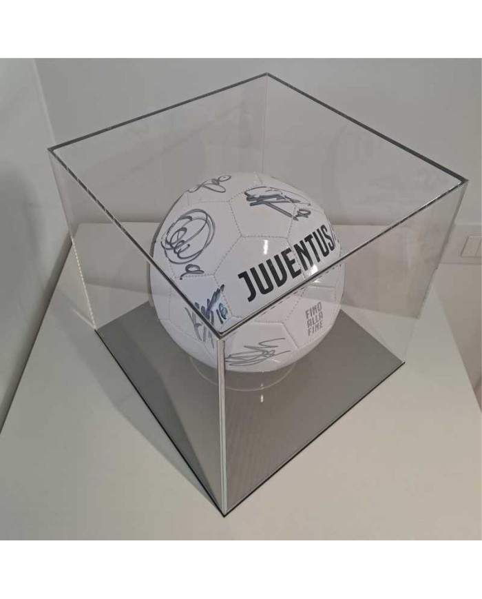 Teca in plexiglass di primissima qualità su misura
