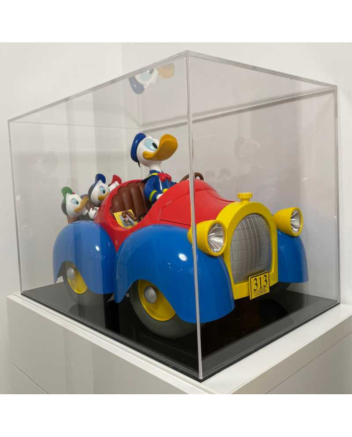 Teca in plexiglass di primissima qualità su misura