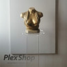 Piedistallo espositivo in plexiglass trasparente