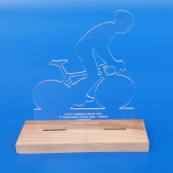 Trofeo in plexiglass e base in legno massello