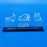 Targa in plexiglass personalizzata con il tuo nome