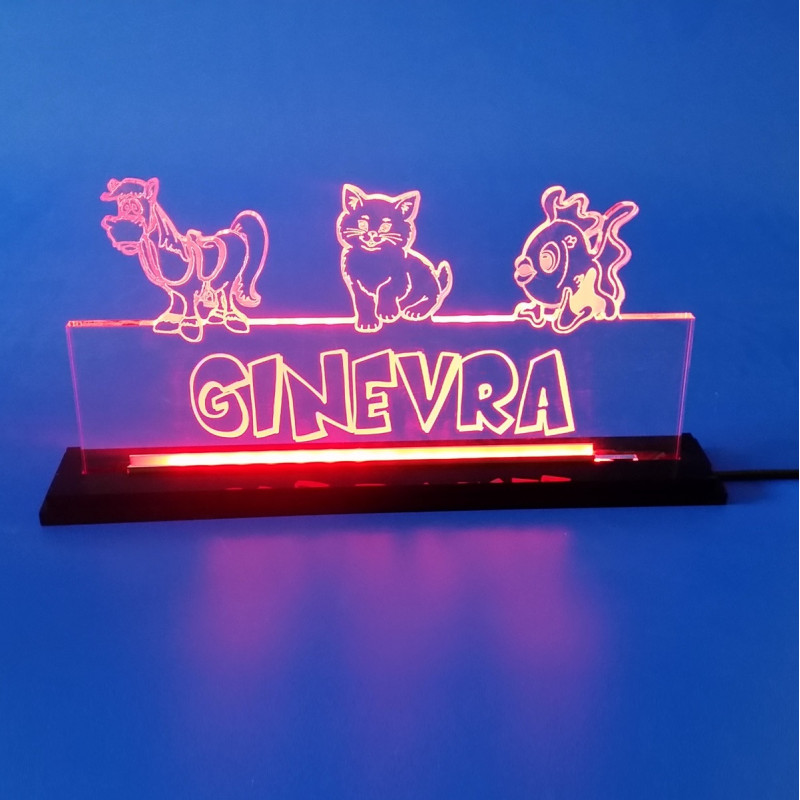 Targa in plexiglass luminosa a led personalizzata