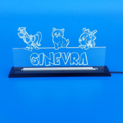 Targa in plexiglass luminosa a led personalizzata