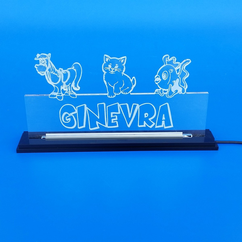 Targa in plexiglass luminosa a led personalizzata