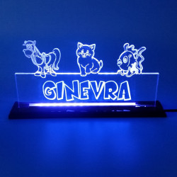 Targa in plexiglass luminosa a led personalizzata