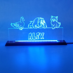 Targa illuminata a led con tuo nome e papera cane gatto