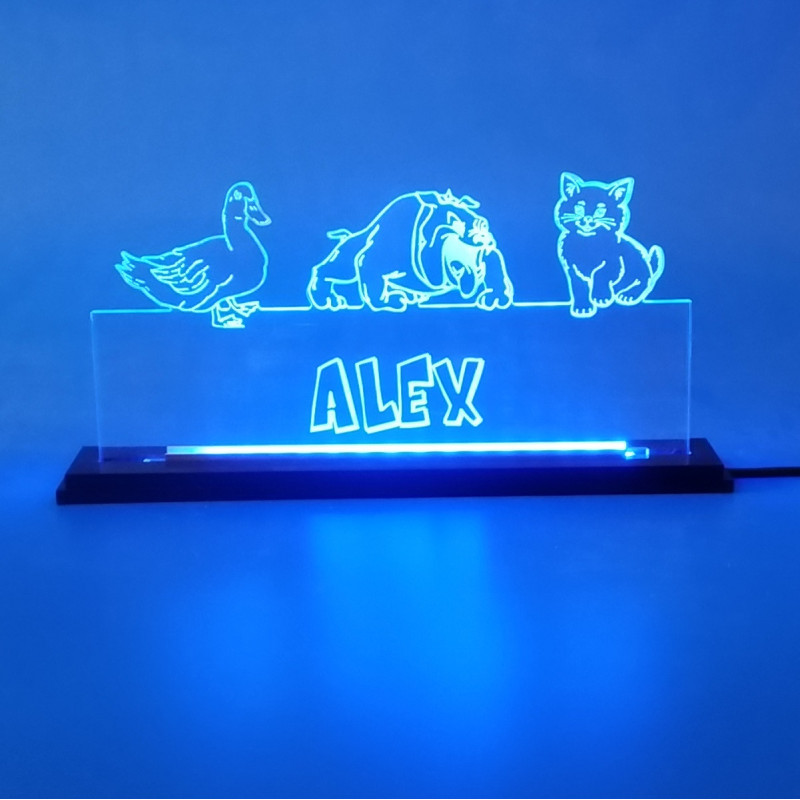 Targa illuminata a led con tuo nome e papera cane gatto