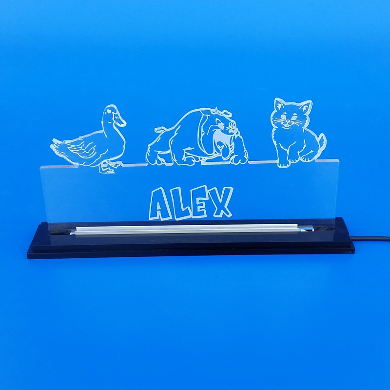 Targa illuminata a led con tuo nome e papera cane gatto