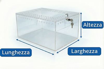 Dimensioni ESTERNE teca